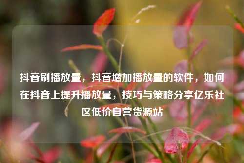 抖音刷播放量，抖音增加播放量的软件，如何在抖音上提升播放量，技巧与策略分享亿乐社区低价自营货源站  第1张