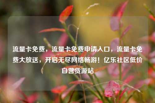 流量卡免费，流量卡免费申请入口，流量卡免费大放送	，开启无尽网络畅游！亿乐社区低价自营货源站  第1张