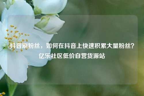 抖音刷粉丝	，如何在抖音上快速积累大量粉丝？亿乐社区低价自营货源站  第1张