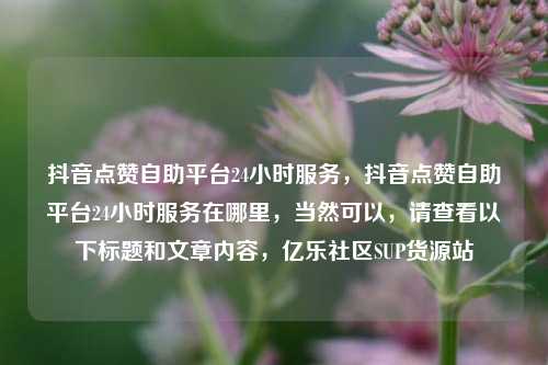 抖音点赞自助平台24小时服务，抖音点赞自助平台24小时服务在哪里，当然可以	，请查看以下标题和文章内容，亿乐社区SUP货源站  第1张