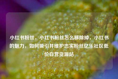 小红书粉丝	，小红书粉丝怎么移除掉，小红书的魅力，如何吸引并维护忠实粉丝亿乐社区低价自营货源站  第1张