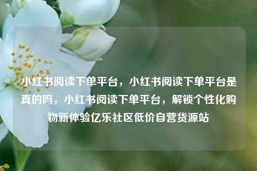 小红书阅读下单平台，小红书阅读下单平台是真的吗，小红书阅读下单平台	，解锁个性化购物新体验亿乐社区低价自营货源站  第1张