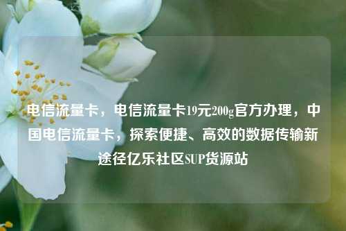 电信流量卡，电信流量卡19元200g官方办理，中国电信流量卡	，探索便捷、高效的数据传输新途径亿乐社区SUP货源站  第1张