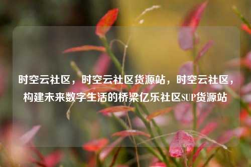 时空云社区，时空云社区货源站，时空云社区	，构建未来数字生活的桥梁亿乐社区SUP货源站  第1张