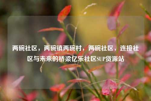 两碗社区，两碗镇两碗村，两碗社区	，连接社区与未来的桥梁亿乐社区SUP货源站  第1张