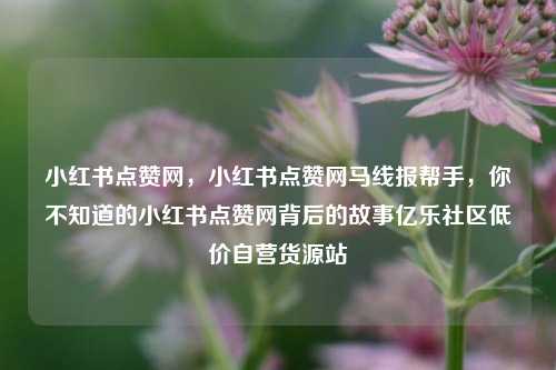 小红书点赞网	，小红书点赞网马线报帮手，你不知道的小红书点赞网背后的故事亿乐社区低价自营货源站  第1张