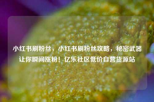 小红书刷粉丝，小红书刷粉丝攻略，秘密武器让你瞬间涨粉！亿乐社区低价自营货源站  第1张