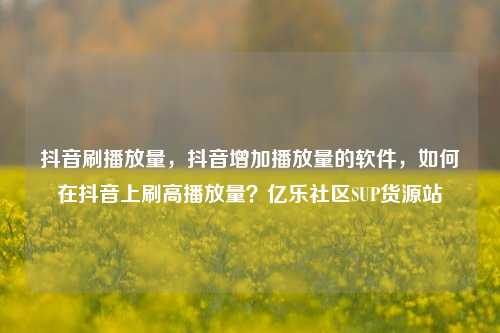 抖音刷播放量，抖音增加播放量的软件，如何在抖音上刷高播放量？亿乐社区SUP货源站  第1张