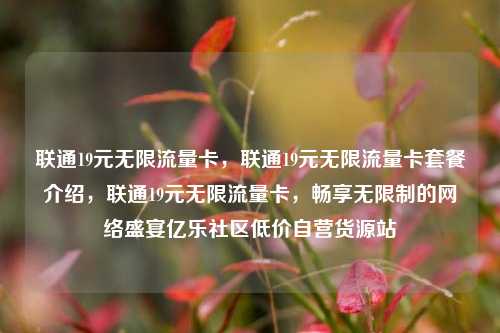 联通19元无限流量卡	，联通19元无限流量卡套餐介绍，联通19元无限流量卡，畅享无限制的网络盛宴亿乐社区低价自营货源站  第1张