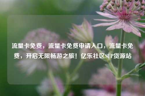 流量卡免费，流量卡免费申请入口	，流量卡免费，开启无限畅游之旅！亿乐社区SUP货源站  第1张