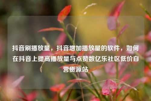 抖音刷播放量，抖音增加播放量的软件，如何在抖音上提高播放量与点赞数亿乐社区低价自营货源站  第1张