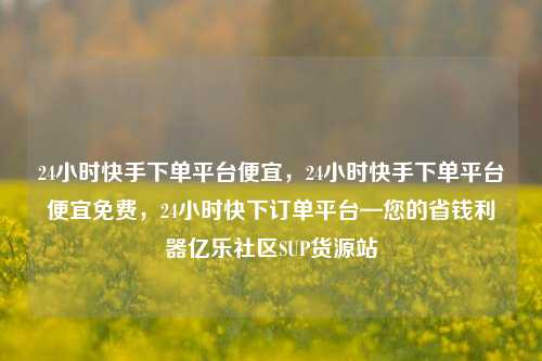 24小时快手下单平台便宜，24小时快手下单平台便宜免费	，24小时快下订单平台—您的省钱利器亿乐社区SUP货源站  第1张