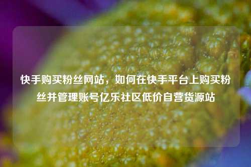 快手购买粉丝网站，如何在快手平台上购买粉丝并管理账号亿乐社区低价自营货源站  第1张