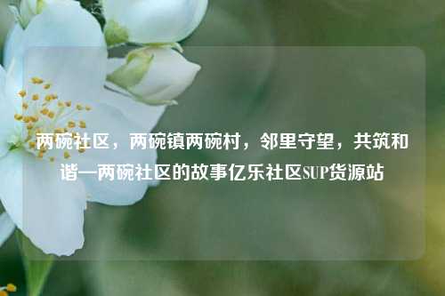 两碗社区，两碗镇两碗村，邻里守望	，共筑和谐—两碗社区的故事亿乐社区SUP货源站  第1张