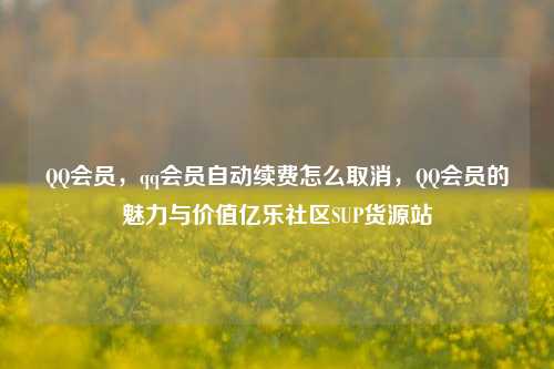 QQ会员	，qq会员自动续费怎么取消，QQ会员的魅力与价值亿乐社区SUP货源站  第1张