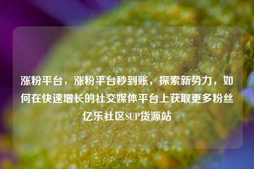 涨粉平台，涨粉平台秒到账，探索新势力	，如何在快速增长的社交媒体平台上获取更多粉丝亿乐社区SUP货源站  第1张