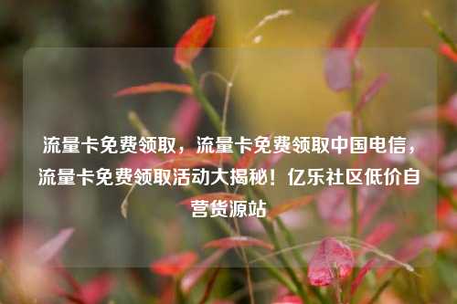 流量卡免费领取，流量卡免费领取中国电信，流量卡免费领取活动大揭秘！亿乐社区低价自营货源站  第1张