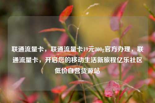 联通流量卡	，联通流量卡19元200g官方办理，联通流量卡，开启您的移动生活新旅程亿乐社区低价自营货源站  第1张