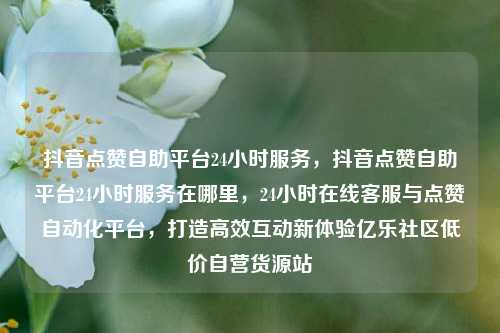 抖音点赞自助平台24小时服务，抖音点赞自助平台24小时服务在哪里	，24小时在线客服与点赞自动化平台，打造高效互动新体验亿乐社区低价自营货源站  第1张