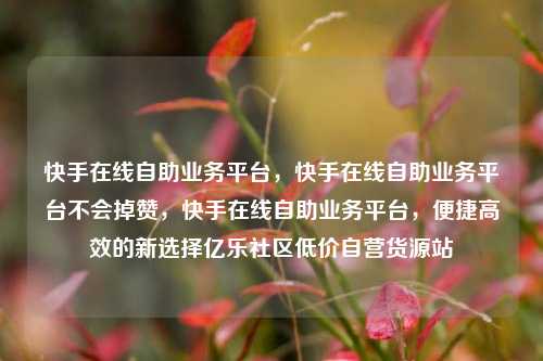 快手在线自助业务平台，快手在线自助业务平台不会掉赞，快手在线自助业务平台	，便捷高效的新选择亿乐社区低价自营货源站  第1张