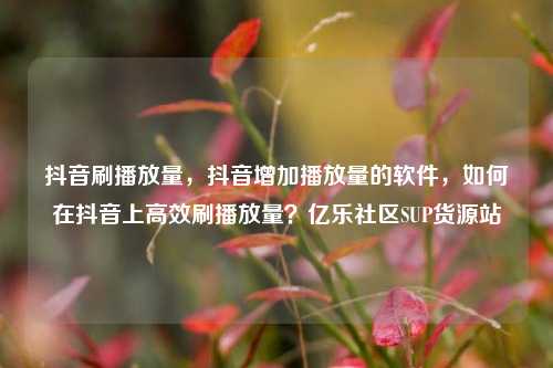 抖音刷播放量，抖音增加播放量的软件	，如何在抖音上高效刷播放量？亿乐社区SUP货源站  第1张