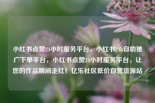 小红书点赞24小时服务平台	，小红书24h自助推广下单平台，小红书点赞24小时服务平台，让您的作品瞬间走红！亿乐社区低价自营货源站  第1张