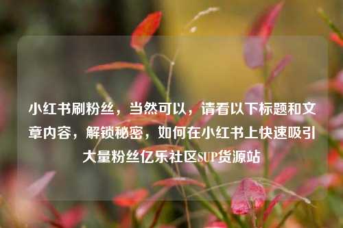 小红书刷粉丝，当然可以	，请看以下标题和文章内容，解锁秘密，如何在小红书上快速吸引大量粉丝亿乐社区SUP货源站  第1张