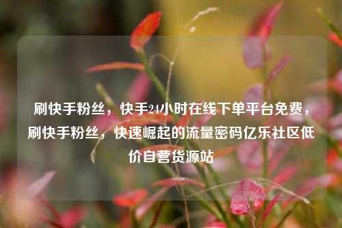 刷快手粉丝，快手24小时在线下单平台免费，刷快手粉丝	，快速崛起的流量密码亿乐社区低价自营货源站  第1张