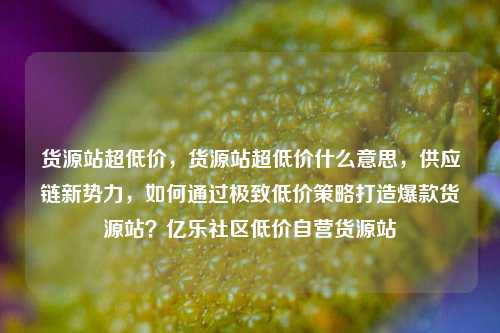 货源站超低价，货源站超低价什么意思，供应链新势力	，如何通过极致低价策略打造爆款货源站？亿乐社区低价自营货源站  第1张