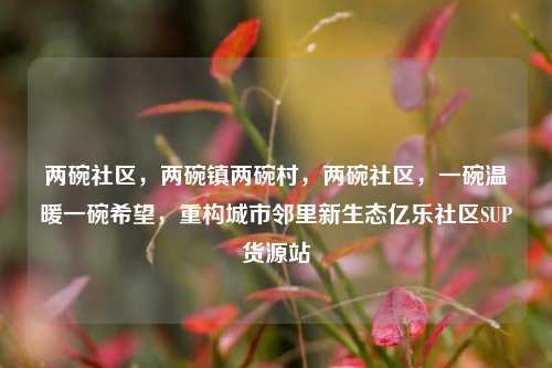 两碗社区，两碗镇两碗村，两碗社区	，一碗温暖一碗希望，重构城市邻里新生态亿乐社区SUP货源站  第1张