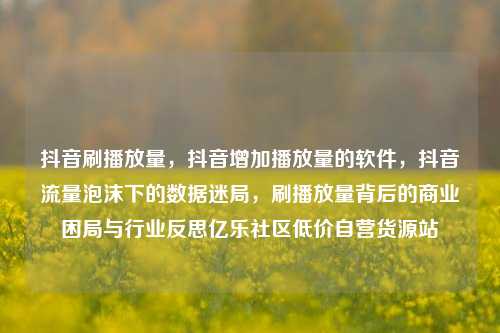 抖音刷播放量，抖音增加播放量的软件，抖音流量泡沫下的数据迷局	，刷播放量背后的商业困局与行业反思亿乐社区低价自营货源站  第1张