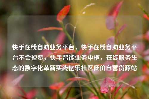 快手在线自助业务平台，快手在线自助业务平台不会掉赞	，快手智能业务中枢，在线服务生态的数字化革新实践亿乐社区低价自营货源站  第1张