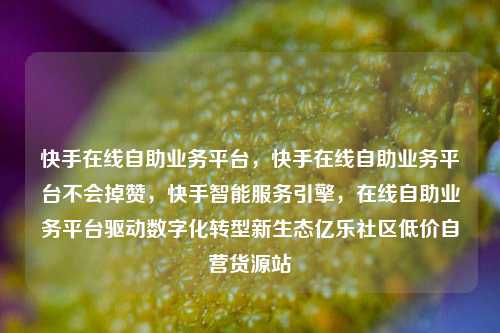 快手在线自助业务平台，快手在线自助业务平台不会掉赞	，快手智能服务引擎，在线自助业务平台驱动数字化转型新生态亿乐社区低价自营货源站  第1张